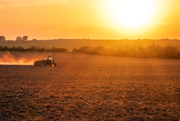 Desafios e Oportunidades em RH no Agronegócio
